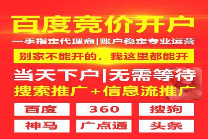 实战案例：SEM广告投放的优化策略